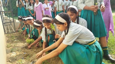 विश्व वातावरण दिवसको अवसरमा भिष्वा डाँडामा वृक्षारोपन