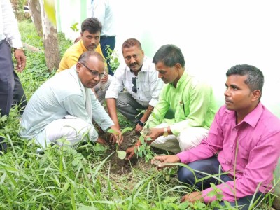 ४२ औं बिपी स्मृति दिवसको अवसरमा बगहीमा १०० वटा बिरुवा रोपियो