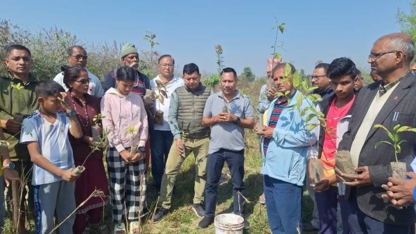 पत्रकार चौलागाईंको जन्मदिनको अवसरमा वृक्षारोपण