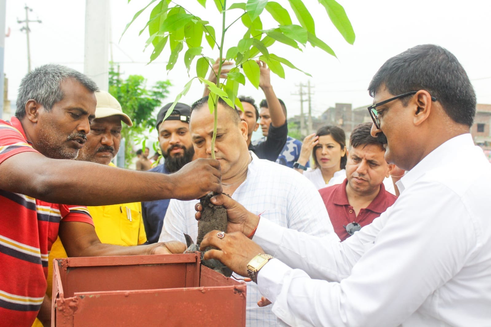 चुरे दिवसको अवसरमा गण्डकमा रोपियो बिरुवा