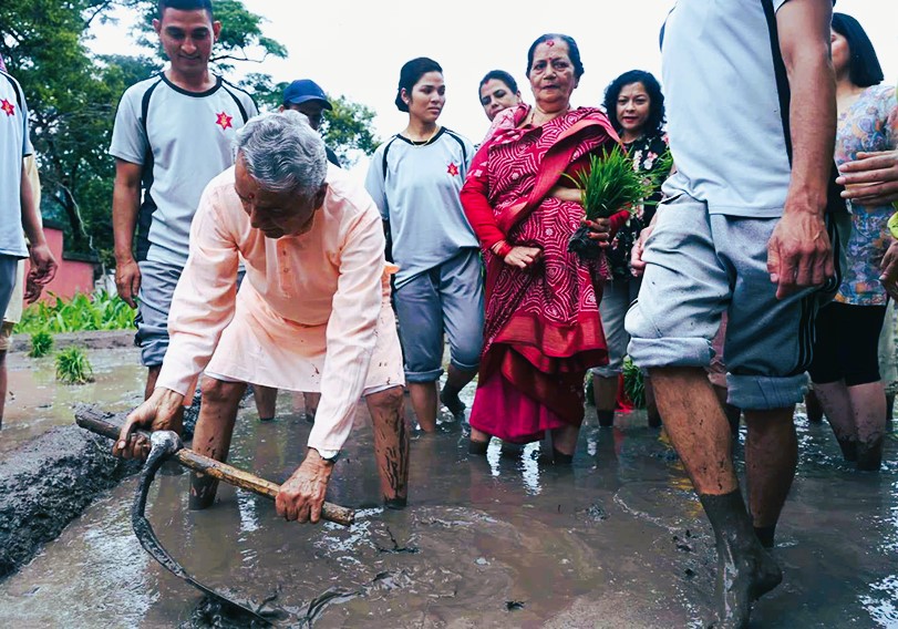 शितल निवासमा राष्ट्रपति पौडेलले रोपे धान  