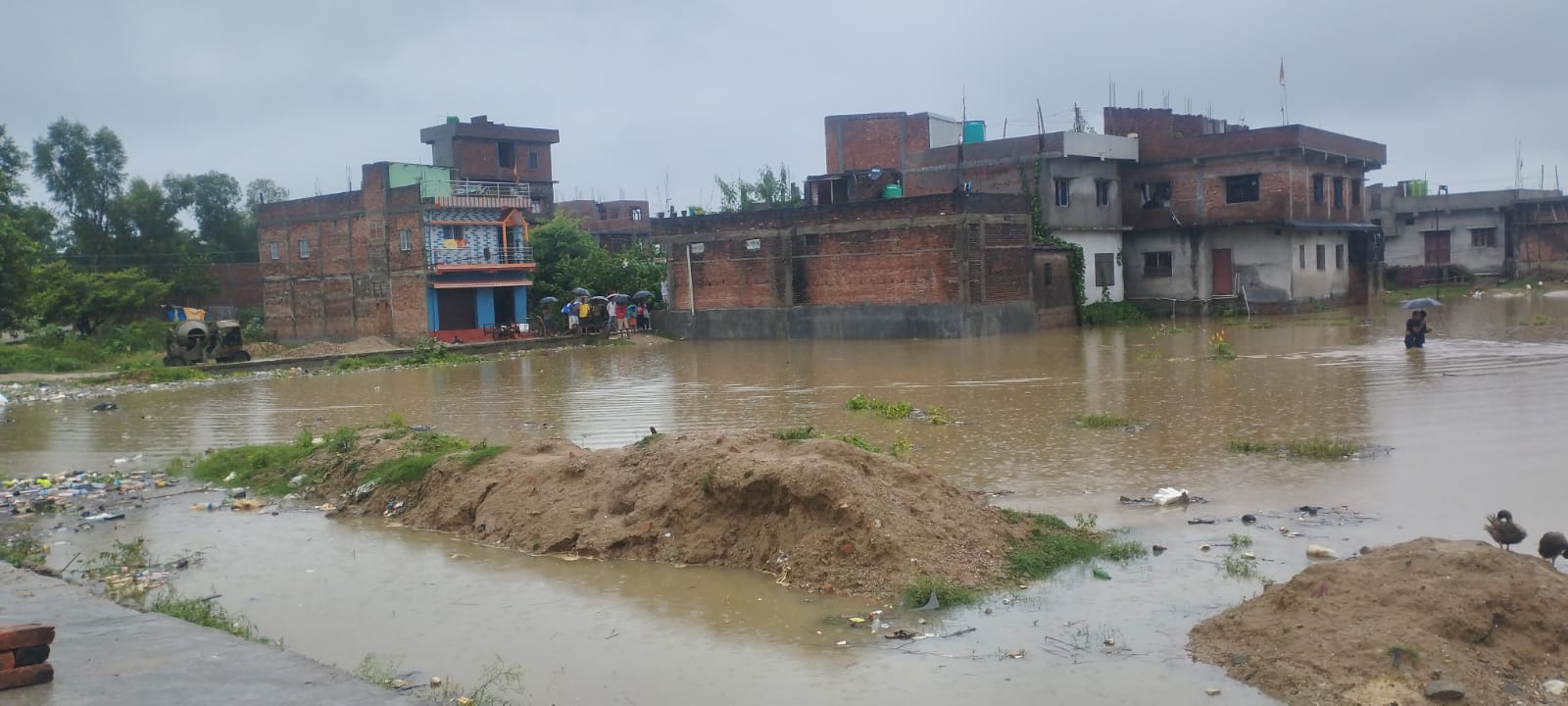 अविरल बर्षाका कारण बहुअरीको नौतन टोलमा स्थानीयको घरमा पानी पस्यो, स्थानीय सरकार मौन